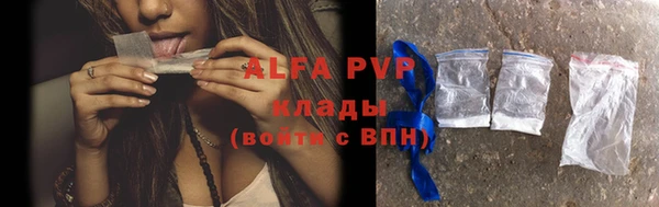 эйфоретик Беломорск