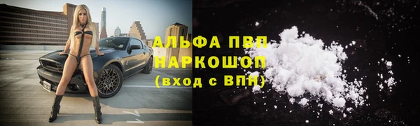 стаф Белоозёрский