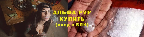 эйфоретик Беломорск