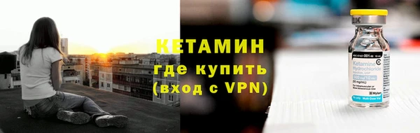трава Белокуриха
