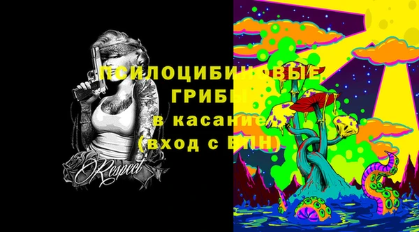 эйфоретик Беломорск