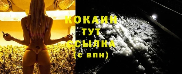 трава Белокуриха