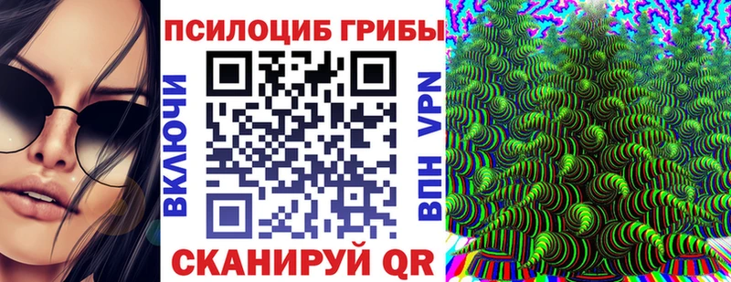 сколько стоит  Троицк  Псилоцибиновые грибы Cubensis 
